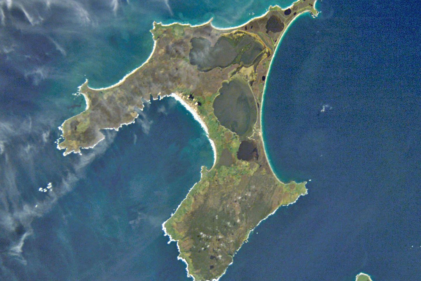 Chatham Island