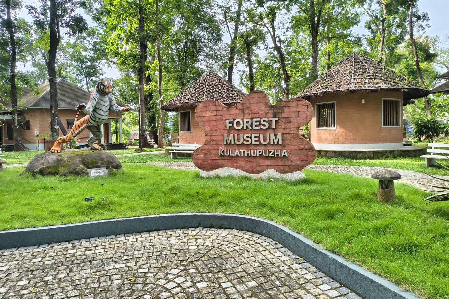 Forest Museum