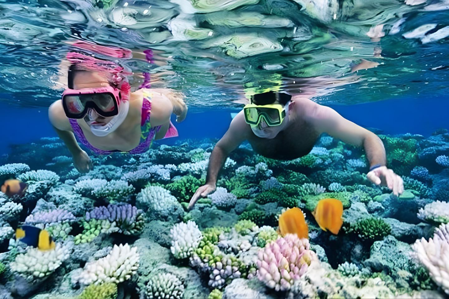 Scuba Diving in Andaman