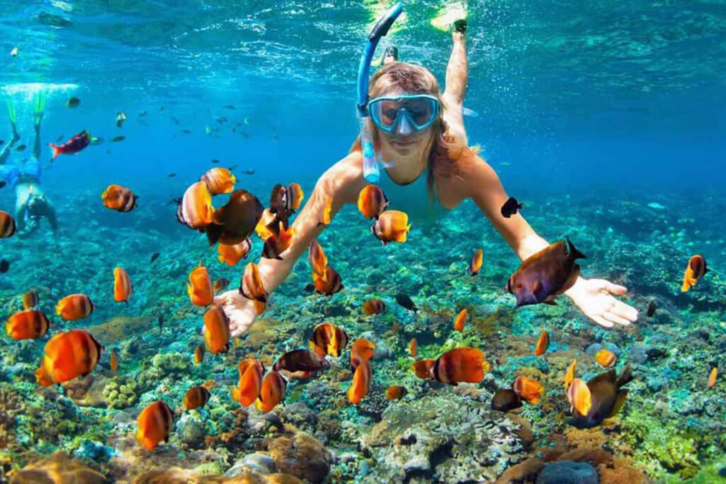 Snorkeling in Andaman