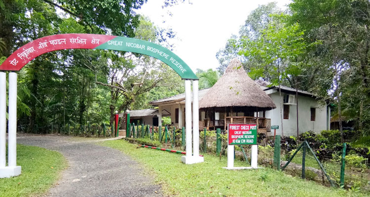 Great Nicobar Biosphere Reserve Nicobar (Entry Fee, Timings, History