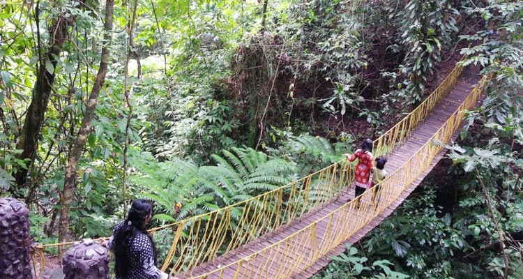 Great Nicobar Biosphere Reserve Nicobar (Entry Fee, Timings, History