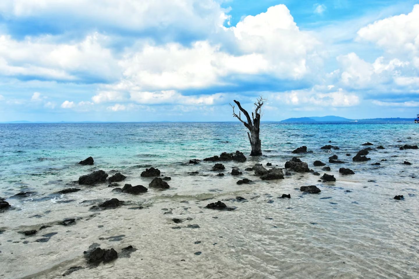 Andaman & Nicobar Islands Culture