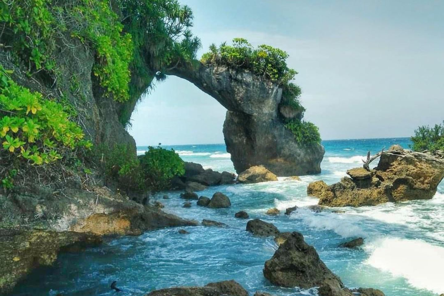 Andaman Tourism, Andaman Tour Packages, Places to visit in Andaman & Nicobar Islands