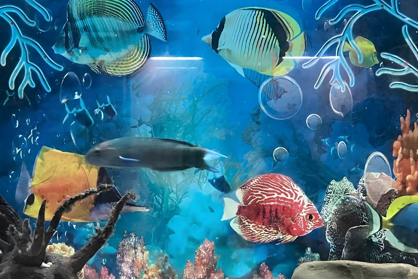 Aquarium Port Blair