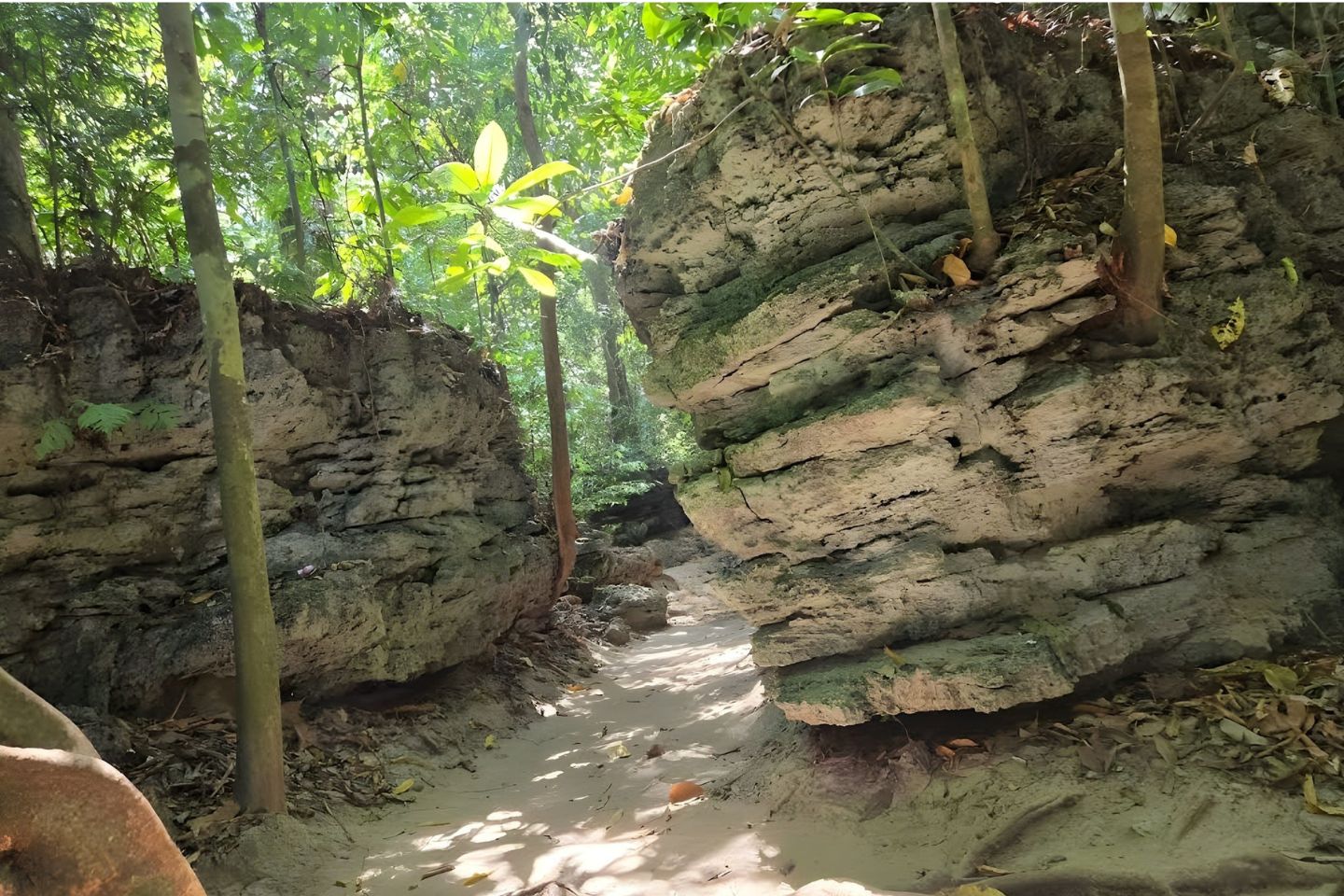 Bharatang Lime Stone Caves