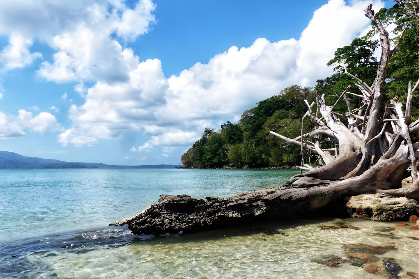 Chidiya Tapu Andaman