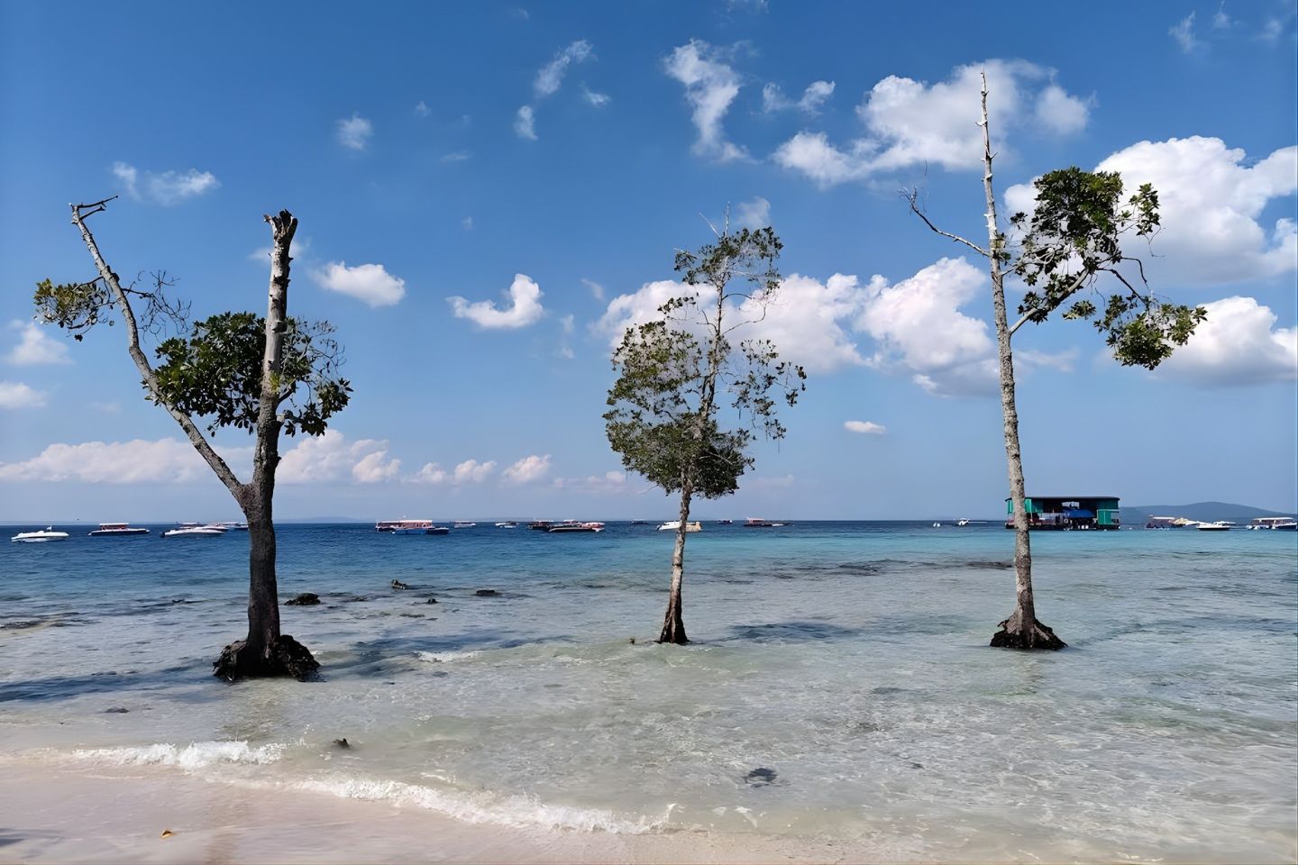 Elephant Beach Andaman