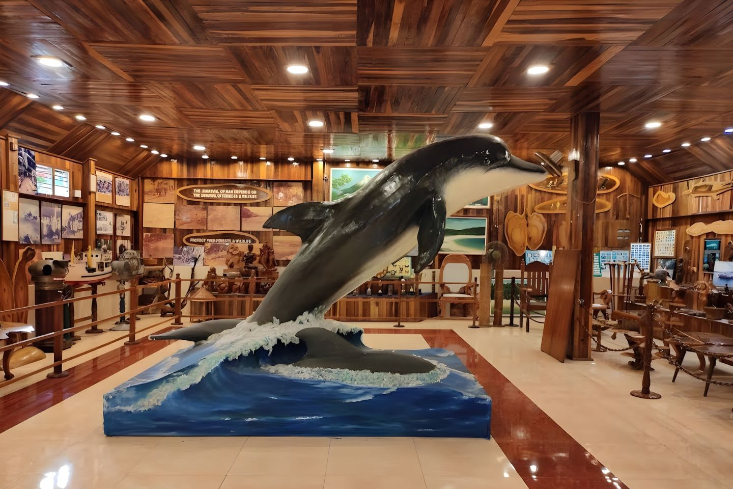 Forest Museum Andaman