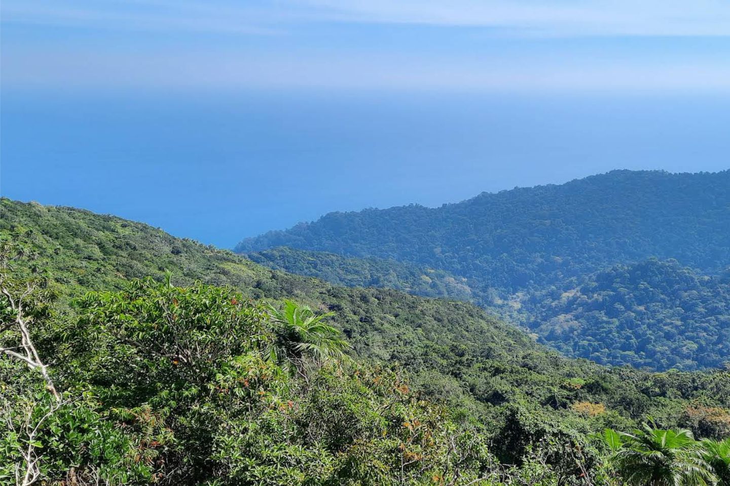 Saddle Peak Andaman